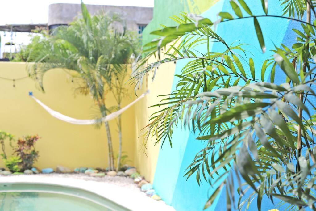 Studio -Sand At Mikasa- Fast Internet, King Bed, Pool, Near Beach, Ac Puerto Escondido  Luaran gambar